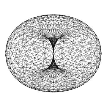 Animated Torus