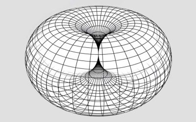 The Toroidal Universe