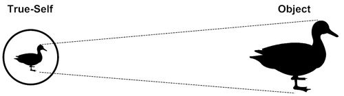 Non-Dualistic Perception