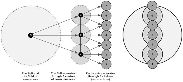 Self, Centres and Chakras