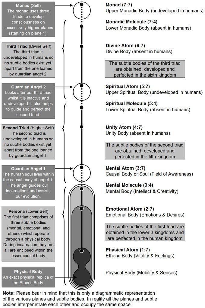 Man’s Subtle Bodies