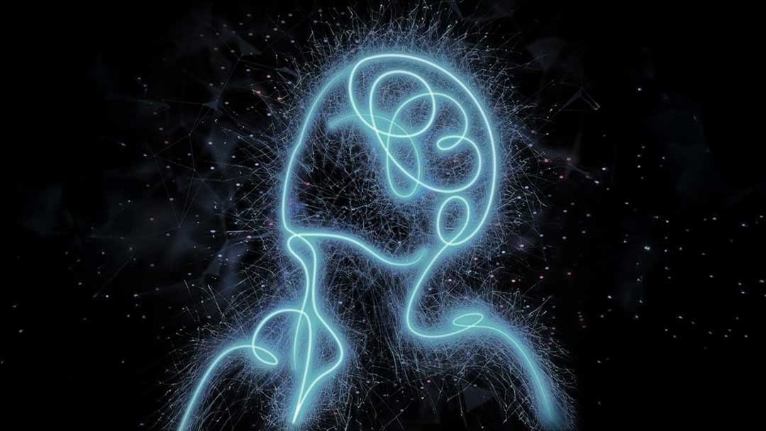 The Neuroscience of Somatic Therapy