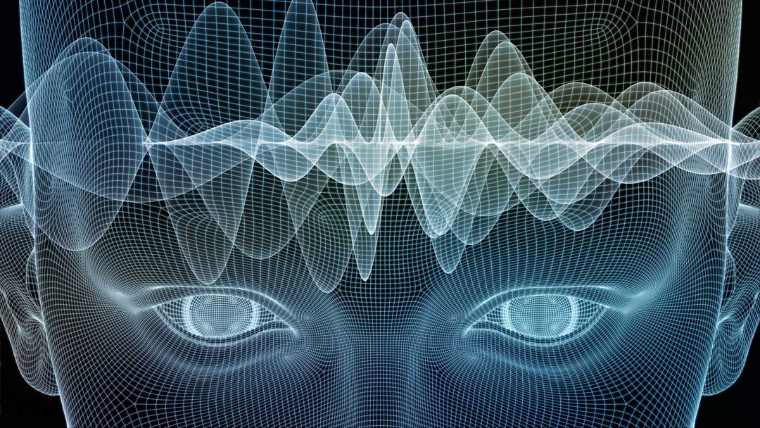 What Is Consciousness