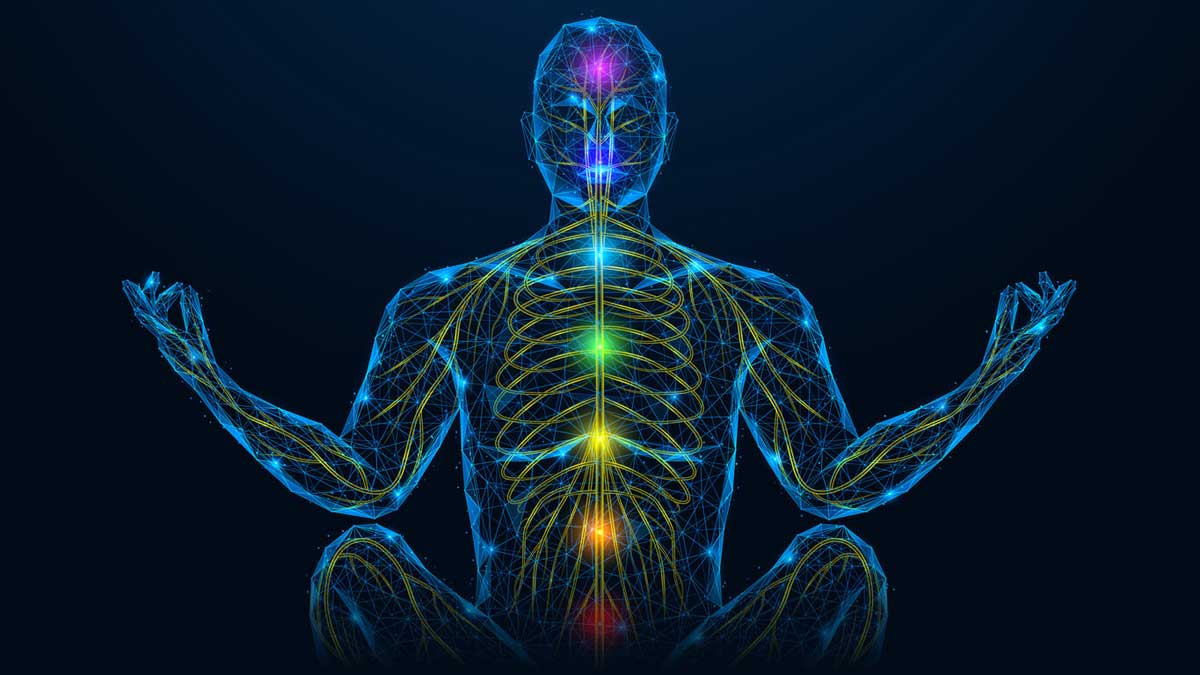 Neurowellness Moves to the Mainstream as Nervous System Health Takes Center Stage