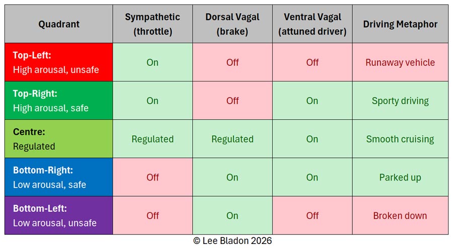 Polyvagal map four quadrants