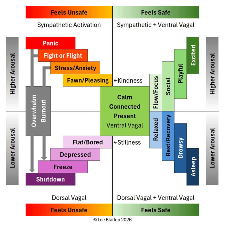 Polyvagal map - a two-axis nervous system chart plotting safety against arousal, showing fight, flight, freeze, fawn, rest and play