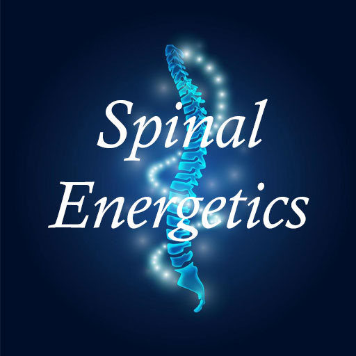Spinal Energetics