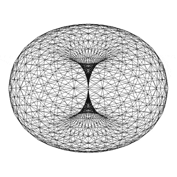 Animated Torus