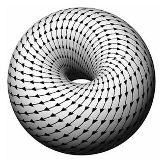 Clifford Torus Clifford Torus