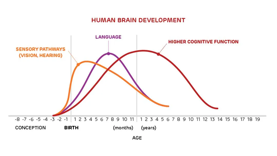 Human Cognitive Development