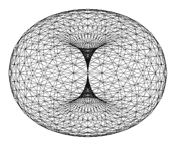 Torus Animated Torus Animated